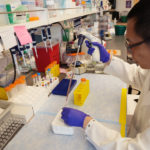New Study Gives Answers, Drug Targets for Chronic Lung-transplant Rejection