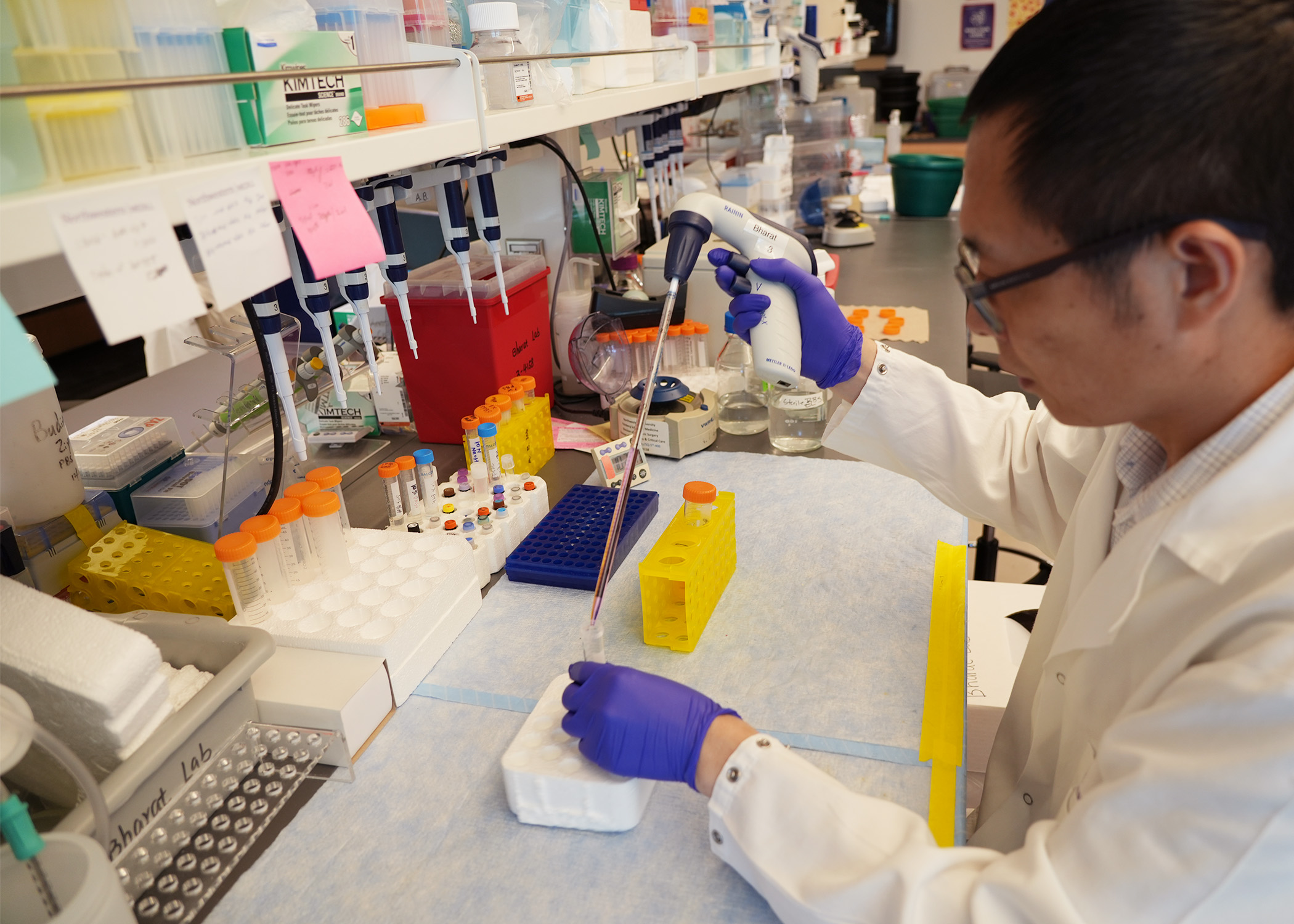 New Study Gives Answers, Drug Targets for Chronic Lung-transplant Rejection