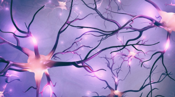 A Promising Drug for Alzheimer’s Disease with William Klein, PhD, and Richard Silverman, PhD