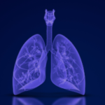 Studying T-Cell Therapy for Potential Lung Tissue Repair with Benjamin Singer, MD