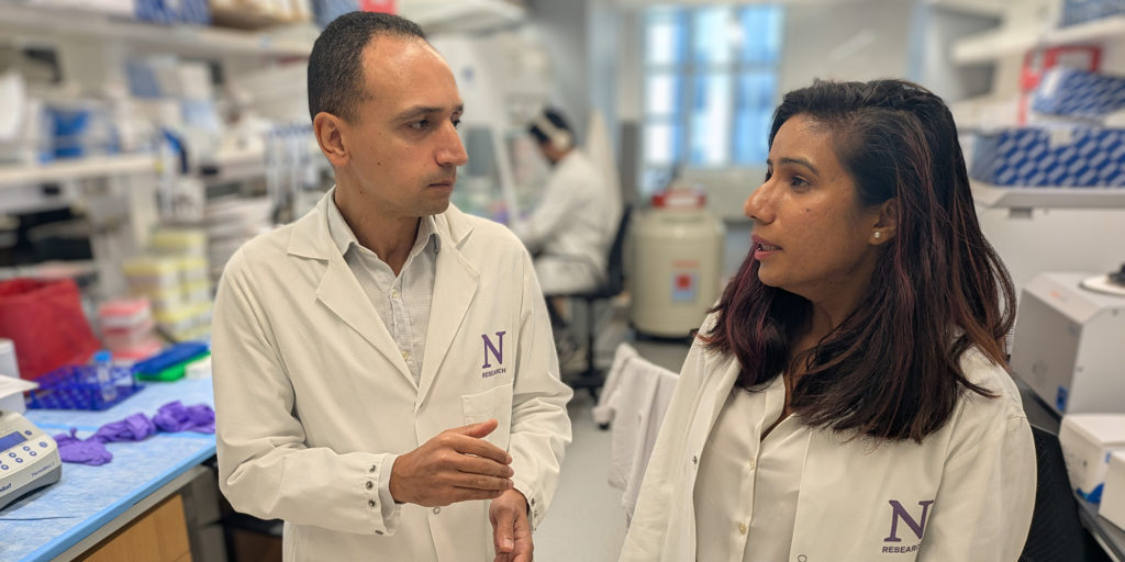 Study senior author Mohamed Abdel-Mohsen, the Margaret Gray Morton Professor of Medicine in the Division of Infectious Diseases and study first author Pratima Saini, PhD, in Abdel-Mohsen's lab.