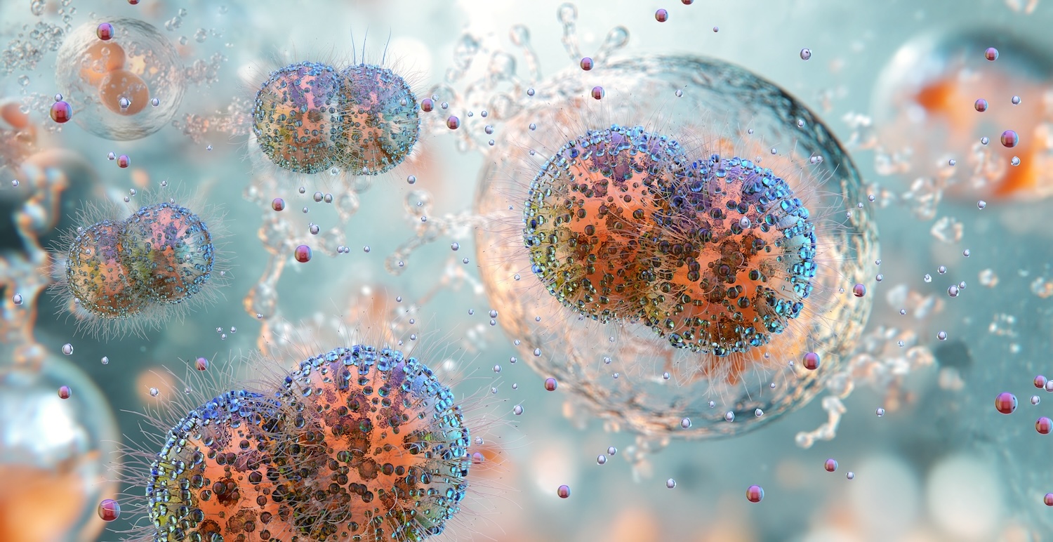 Study Identifies Misleading Genomic Sequences of Bacteria Causing Gonorrhea - News Center