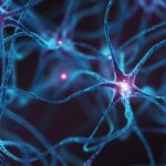 Parkinson’s Gene Linked to Early Dysfunction in Brain Cells