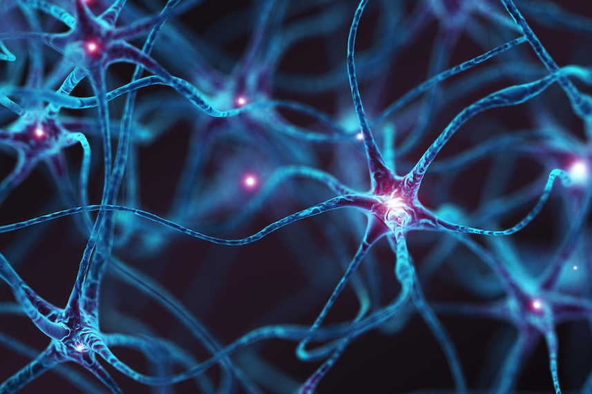 Parkinson’s Gene Linked to Early Dysfunction in Brain Cells