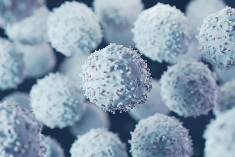 Identifying Mechanisms Supporting Nanoparticle Therapy for Autoimmune Diseases