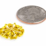 Living ‘Mini Brains’ Meet Next-Generation Bioelectronics