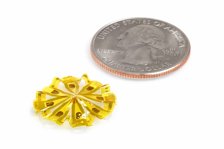 Living ‘Mini Brains’ Meet Next-Generation Bioelectronics