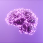 Light Impacts How the Brain Perceives and Remembers Threats