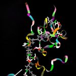 Trashing Cancer’s ‘Undruggable’ Proteins