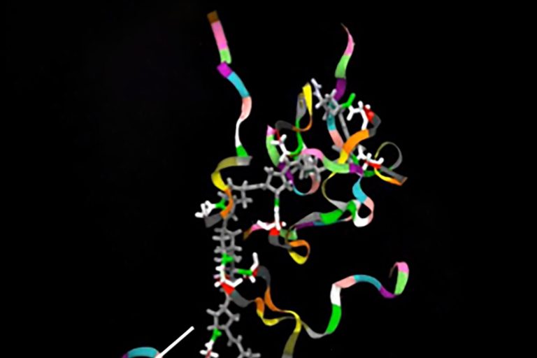 Trashing Cancer’s ‘Undruggable’ Proteins