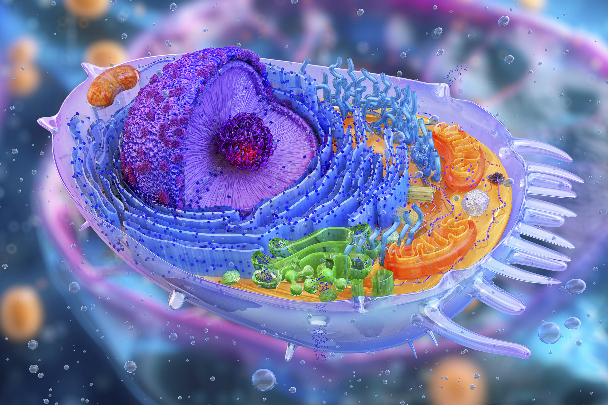 Cells ‘Switch’ on Protein Factories After Injury, Study Finds 