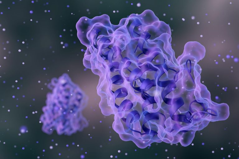 Novel Synthetic Biomolecule Degrades Disease-Related Proteins