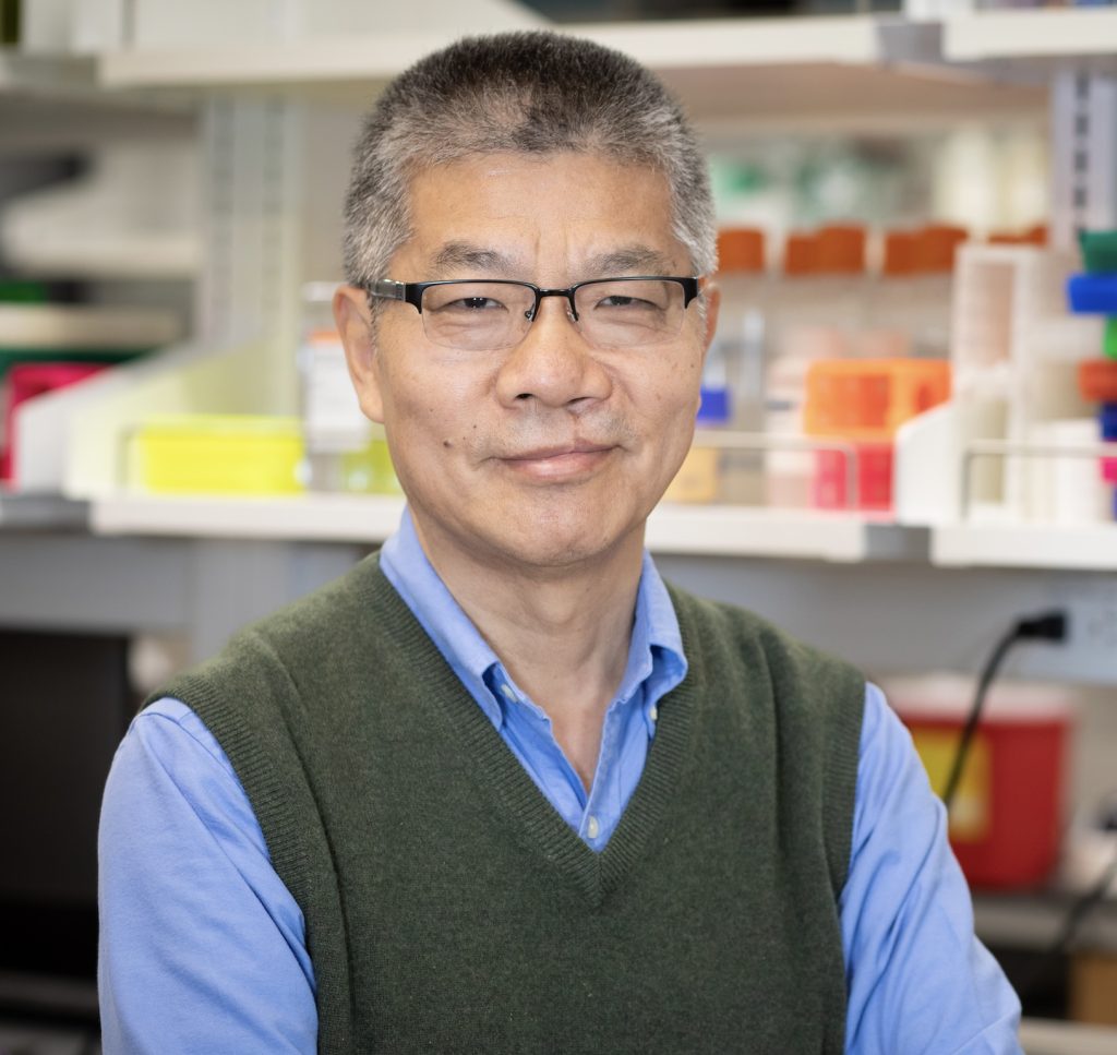 Yingzi Cong in his laboratory.