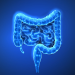 Immune Cell Circuit Restores Barrier Function in IBD