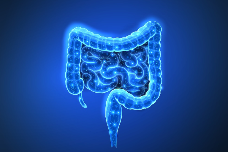 Immune Cell Circuit Restores Barrier Function in IBD