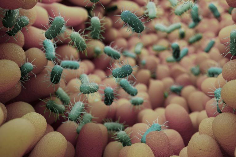 Genetic Toolkit May Improve Study of Gut Bacteria’s Role in Disease