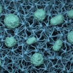 Designing Supramolecular Therapies to Cross the Blood-Brain Barrier