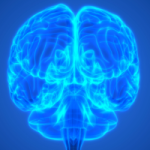 What is the Genetic Overlap Between Autism and Schizophrenia? with Peter Penzes, PhD
