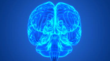 What is the Genetic Overlap Between Autism and Schizophrenia? with Peter Penzes, PhD