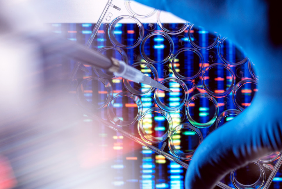Ryan Family Research Acceleration Fund advances promising biomedical discoveries