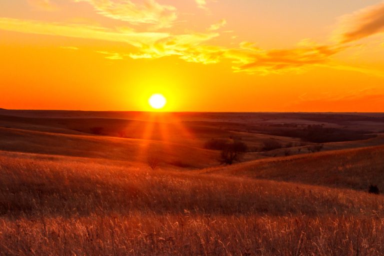 Extreme Heat Linked to 33 Diagnoses That Go Beyond Dehydration, Heat Stroke