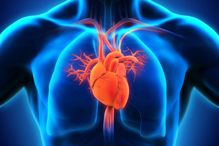 Experimental Drug Shows Potential for Hard-to-Treat Heart Disease