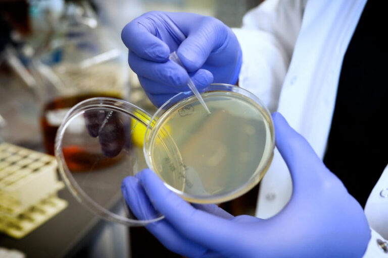 Feinberg Research Funding Tops $750 Million