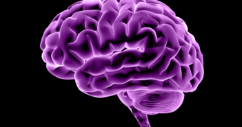Brain Changes After a Stuffed Nose Protect the Sense of Smell