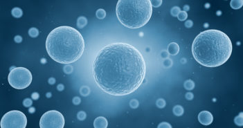 New Insights into Cell Polarity