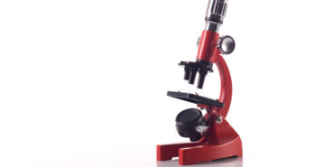 Students Explore Biomedical Research as Part of New Curriculum