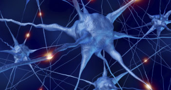 Mechanism Behind Monitoring of Neuromuscular Blockers Discovered