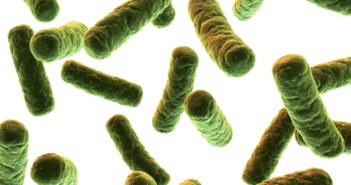 Study Explores How Pneumonia Strains Compete