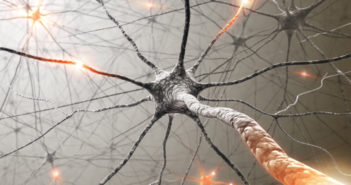 Exploring the Structural Basis of Kainate Receptors