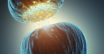 Scientists Develop First Animal Model for ALS Dementia