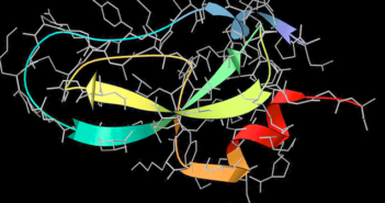 New Technique Used to Investigate Protein Refolding in Viruses