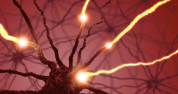 Nerve Transfers Limit Pain for Amputees
