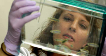 Graduate Student Receives Award for Bone Development Research