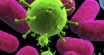 Protein’s Crystal Structure Reveals Role in Life-Threatening Bacteria