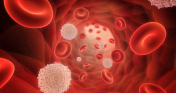 Interspecies Transplant Works in First Step for New Diabetes Therapy