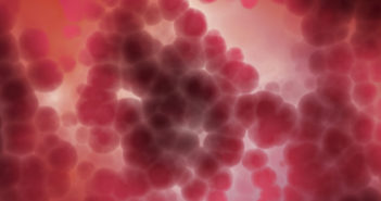 Suppressive Immune Cells Combat Chronic Inflammation