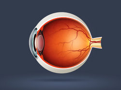Northwestern Partners in Consortium to Develop New Ways to Treat Macular Degeneration