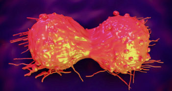 Target Identified to Inhibit Prostate Cancer Cells