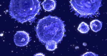 Activator for Important Aging and Cancer Protein Identified