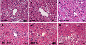 Using Spherical Nucleic Acids to Improve Immune System Therapies
