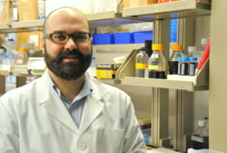 Exploring How Skin Cells Communicate