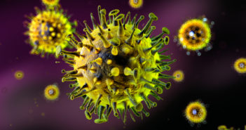 Structure of Parainfluenza Virus 5 Reveals How Replication Occurs