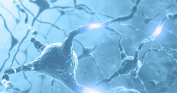 Drug Protects Neurons in Parkinson’s Disease