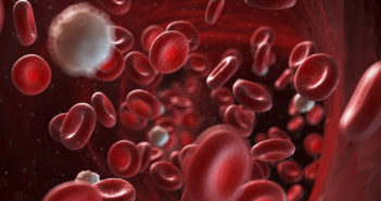 Student Awarded AOA Fellowship for Research on Inflammation