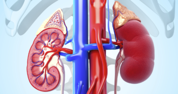 Racial and Ethnic Disparities Worsen in Live Donor Kidney Transplantation