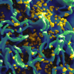 CRISPR and HIV: New Technique in Human Blood Unveils Potential Paths Toward Cure